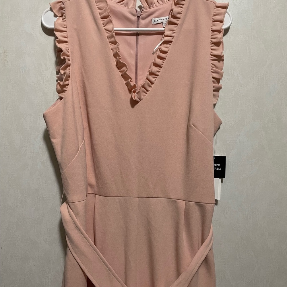 Sandra Darren Dusty Pink Ruffle V-Neck Jumpsuit